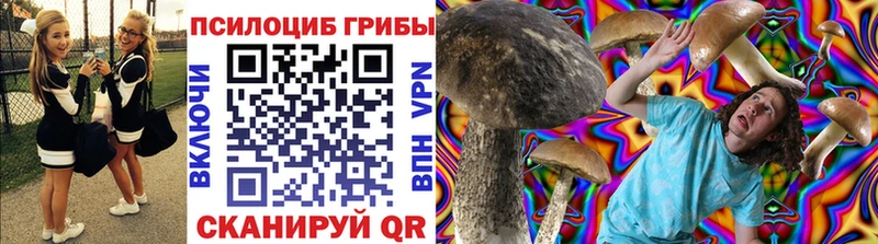 Галлюциногенные грибы Psilocybe  где продают   Конаково 