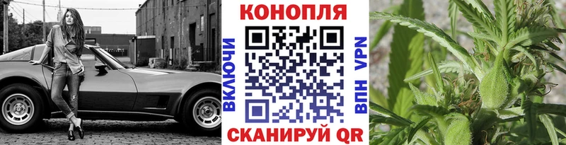 площадка формула  Конаково  Конопля ГИДРОПОН 